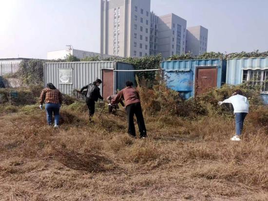 华瓴集团开展“除草作贡献、行动践初心”党建志愿活动